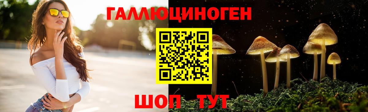 Псилоцибиновые грибы Cubensis Северск